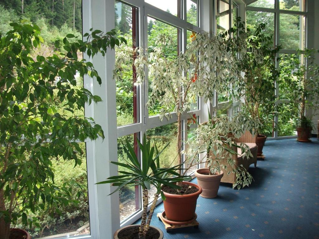 Elgersburg Hotel Am Wald -Garni- מראה חיצוני תמונה