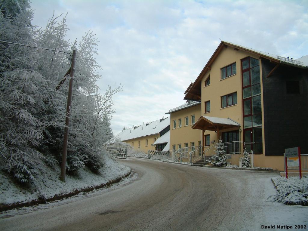 Elgersburg Hotel Am Wald -Garni- מראה חיצוני תמונה